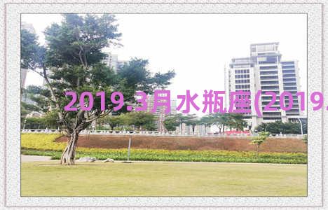2019.3月水瓶座(2019.3大写)