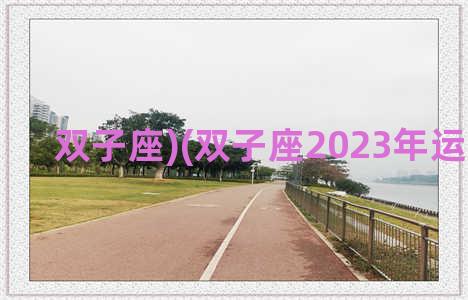 双子座)(双子座2023年运势详解)