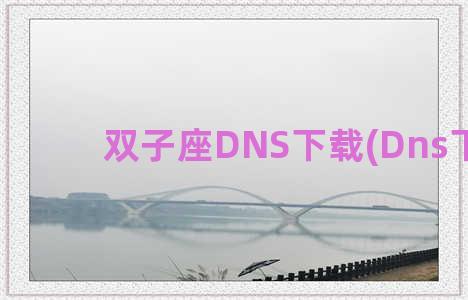 双子座DNS下载(Dns下载)