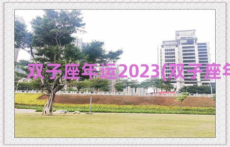 双子座年运2023(双子座年运2022)